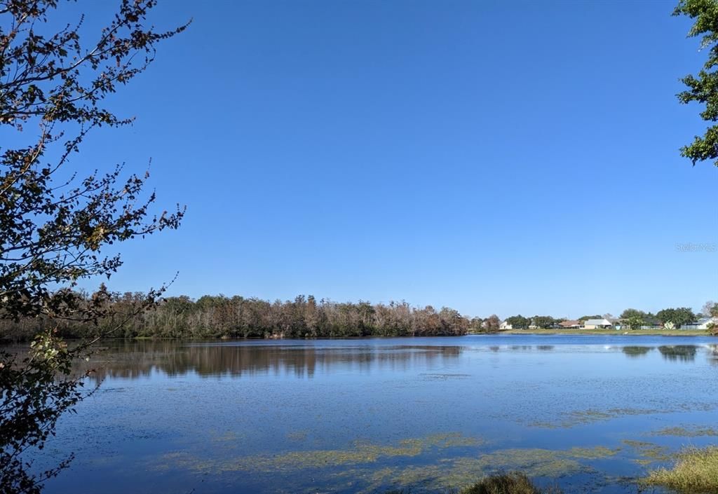 For Rent: $2,300 (3 beds, 2 baths, 1664 Square Feet)