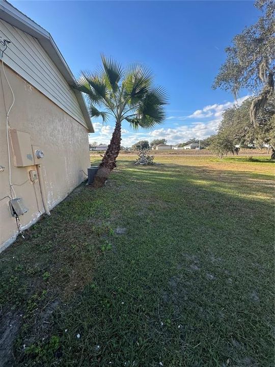 For Rent: $2,000 (3 beds, 2 baths, 1260 Square Feet)