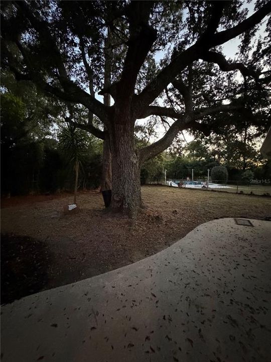 На продажу: $445,000 (5 спален, 2 ванн, 1849 Квадратных фут)