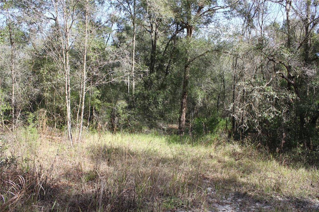 待售: $145,000 (2.20 acres)