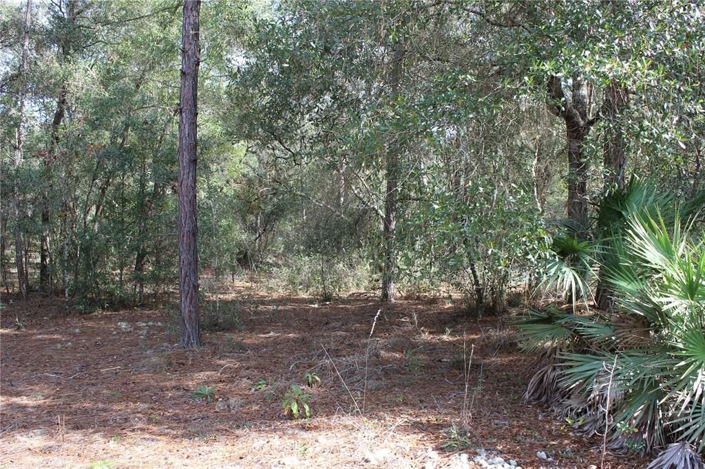 待售: $145,000 (2.20 acres)