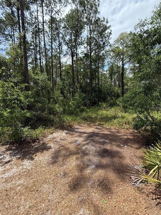 For Sale: $10,000 (0.25 acres)