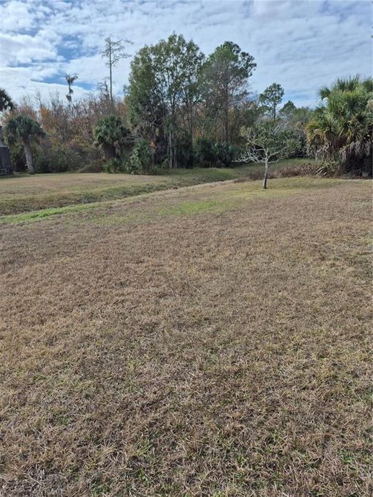 出租: $1,800 (3 贝兹, 2 浴室, 1483.5 平方英尺)