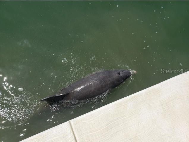 En Renta: $3,300 (2 camas, 2 baños, 1740 Pies cuadrados)