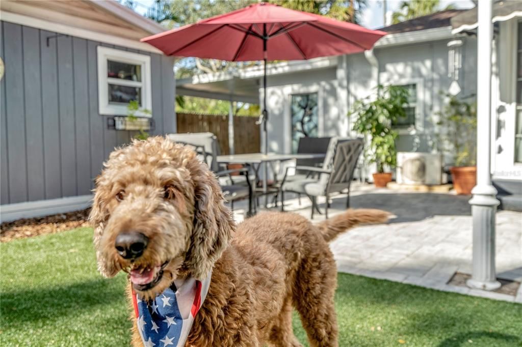 出租: $6,495 (3 贝兹, 2 浴室, 1913 平方英尺)