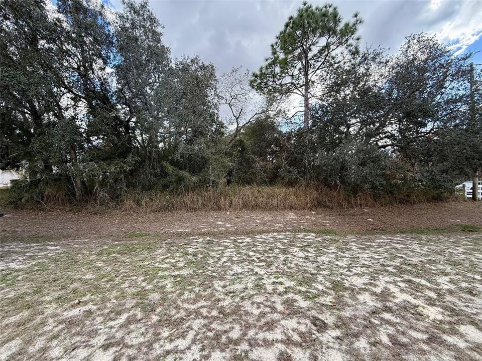 待售: $55,000 (0.42 acres)