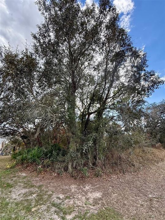 待售: $55,000 (0.42 acres)