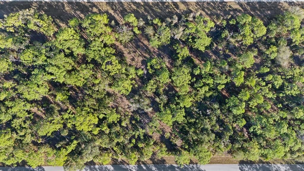 En Venta: $16,500 (0.23 acres)