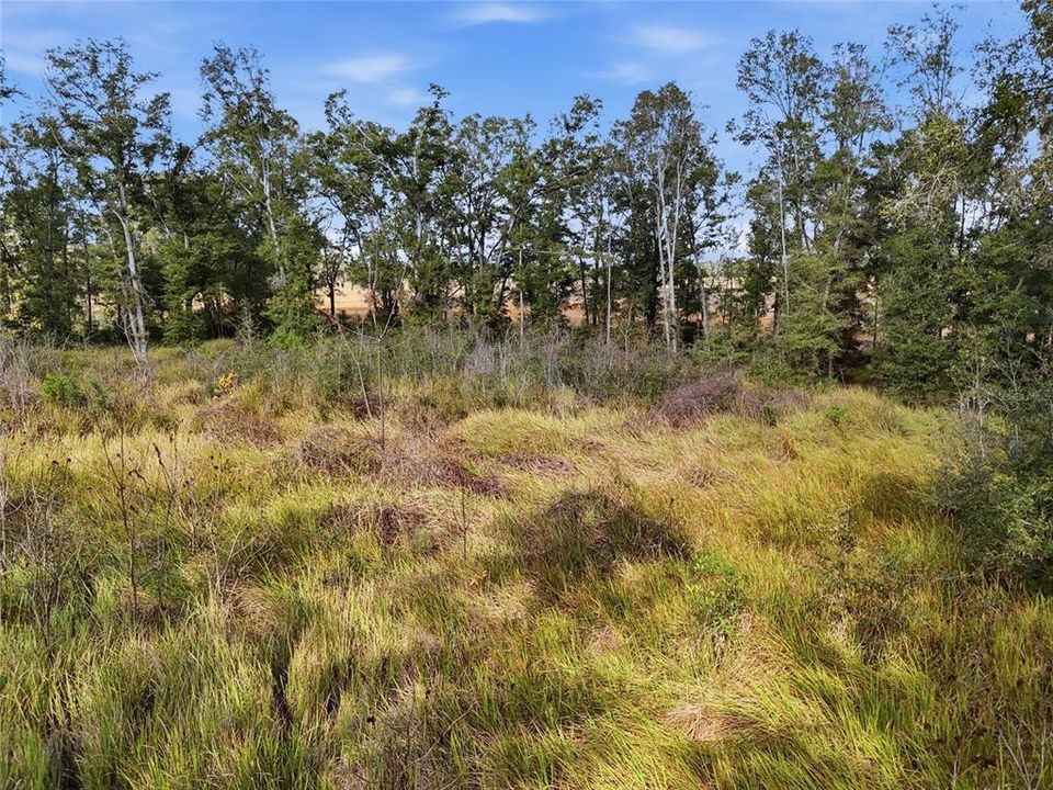 En Venta: $45,900 (0.92 acres)