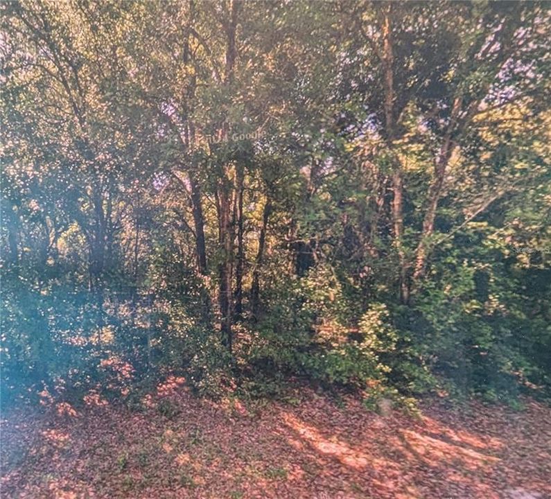 待售: $29,900 (0.23 acres)