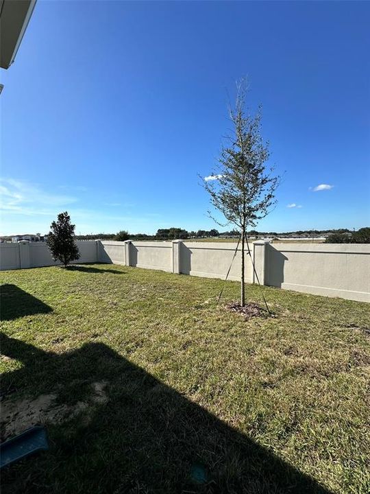 В аренду: $1,950 (3 спален, 2 ванн, 1699 Квадратных фут)