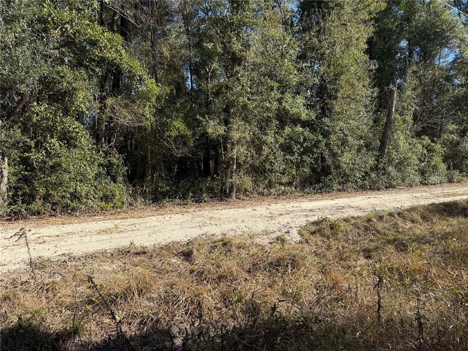 待售: $41,000 (1.00 acres)