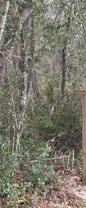 Recently Sold: $32,500 (0.17 acres)
