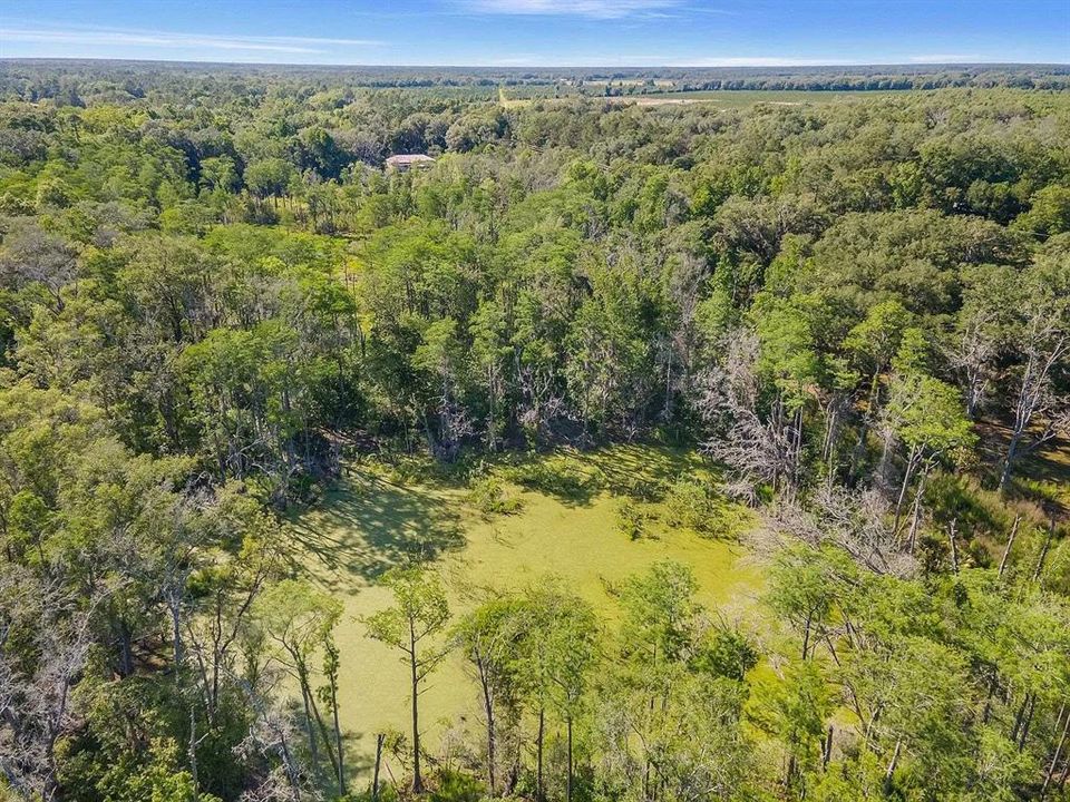 На продажу: $49,000 (4.00 acres)