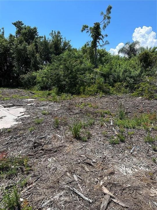 En Venta: $45,000 (0.20 acres)