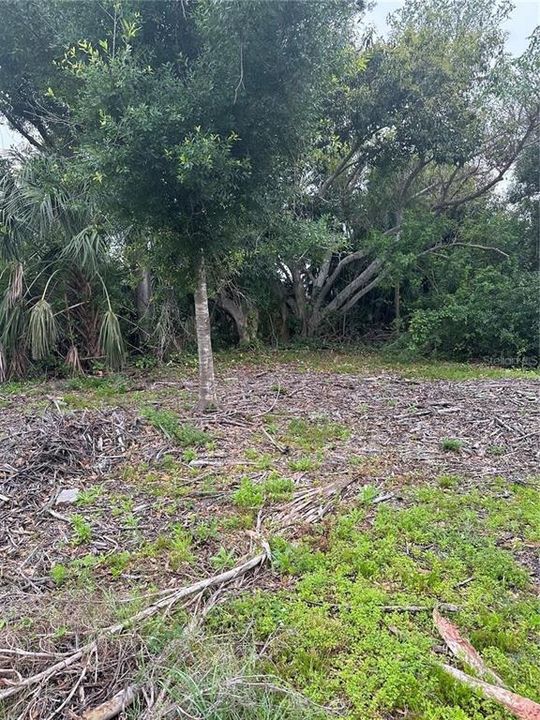 En Venta: $45,000 (0.20 acres)
