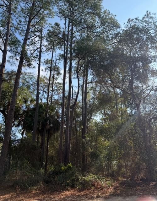 En Venta: $24,900 (0.22 acres)