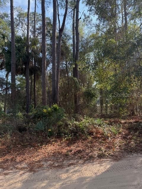 En Venta: $24,900 (0.22 acres)