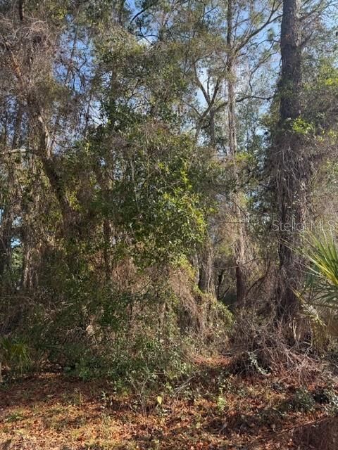 En Venta: $24,900 (0.22 acres)