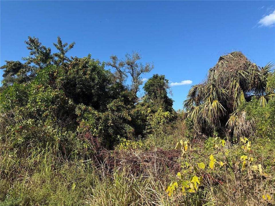 最近售出: $32,000 (0.12 acres)