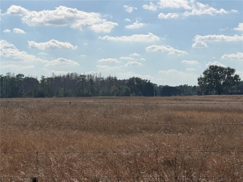 For Sale: $450,000 (10.08 acres)