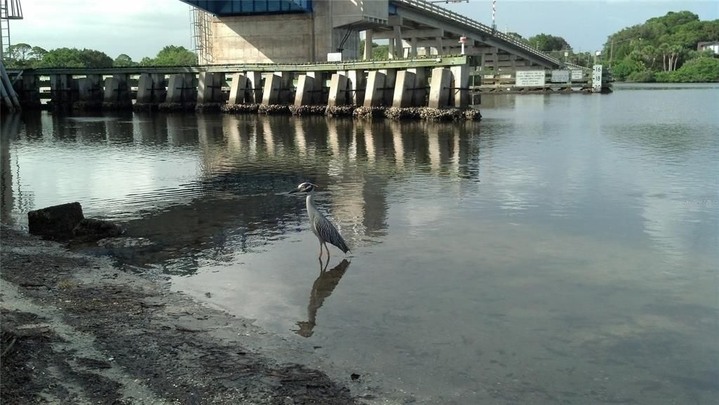 For Sale: $60,000 (0.23 acres)