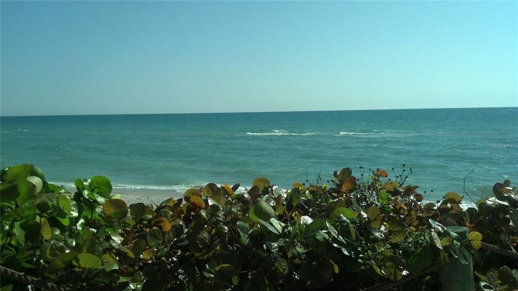 For Sale: $60,000 (0.23 acres)