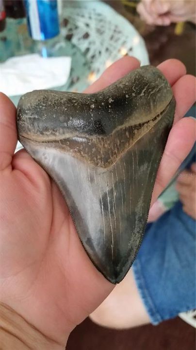 For Sale: $60,000 (0.23 acres)