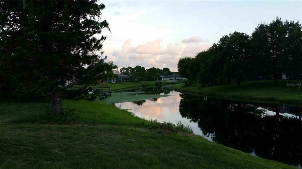 For Sale: $60,000 (0.23 acres)