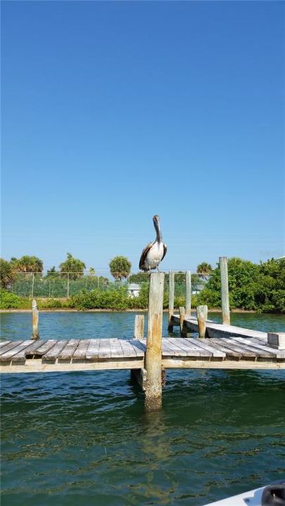 For Sale: $60,000 (0.23 acres)