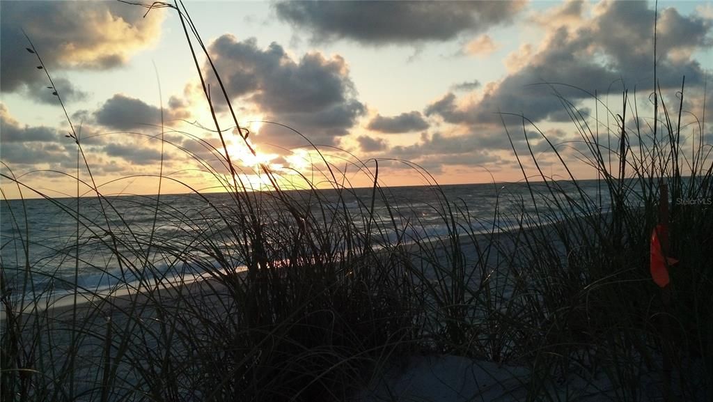 For Sale: $60,000 (0.23 acres)