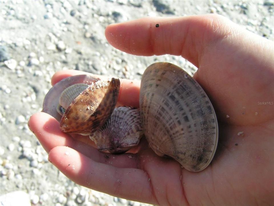 For Sale: $60,000 (0.23 acres)