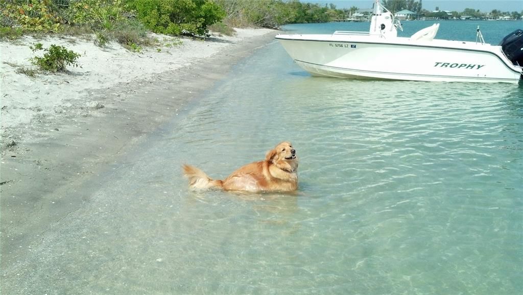 For Sale: $60,000 (0.23 acres)