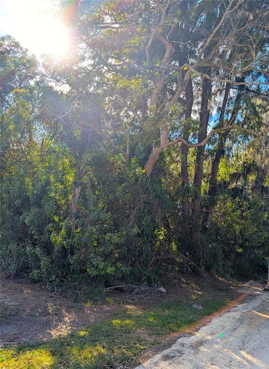 For Sale: $38,000 (0.14 acres)