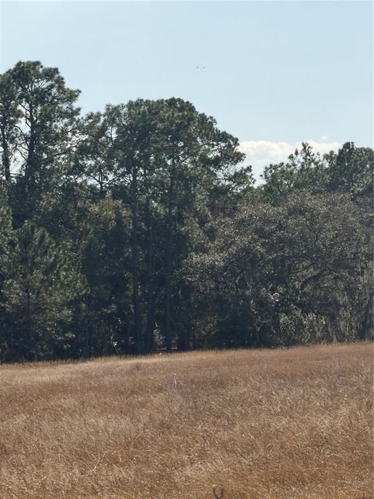 For Sale: $450,000 (10.09 acres)
