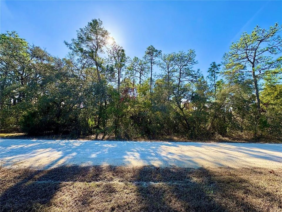 На продажу: $90,000 (1.81 acres)