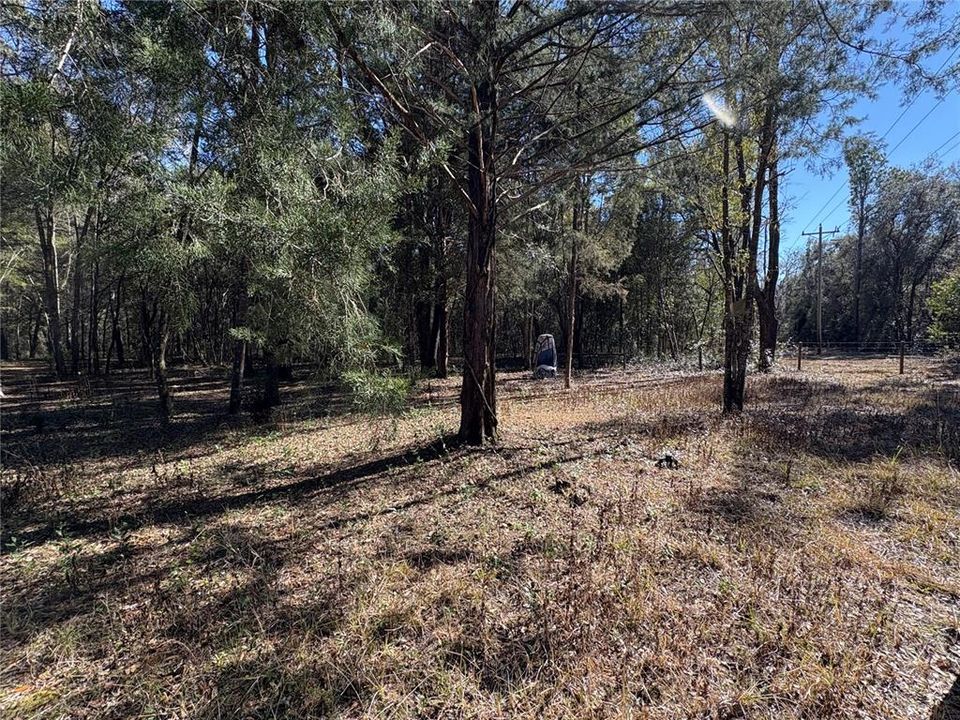 For Sale: $299,000 (3 beds, 1 baths, 1100 Square Feet)