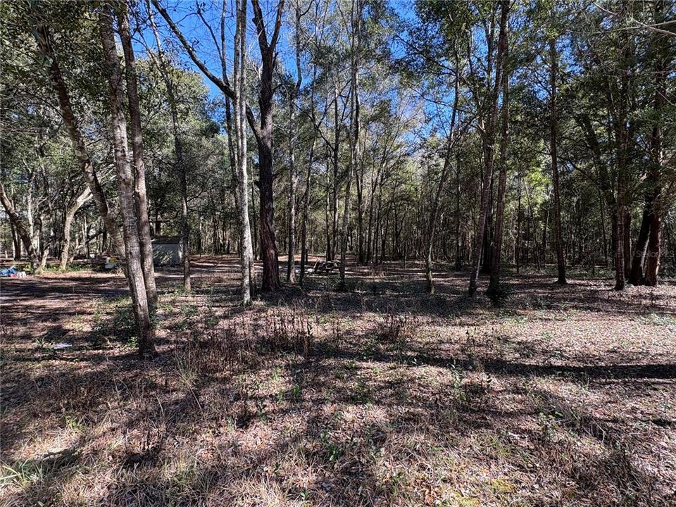 For Sale: $299,000 (3 beds, 1 baths, 1100 Square Feet)