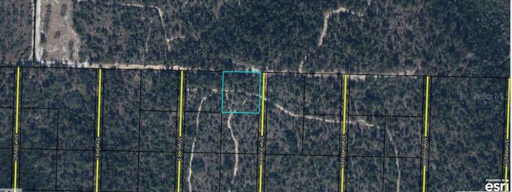 На продажу: $80,000 (1.00 acres)