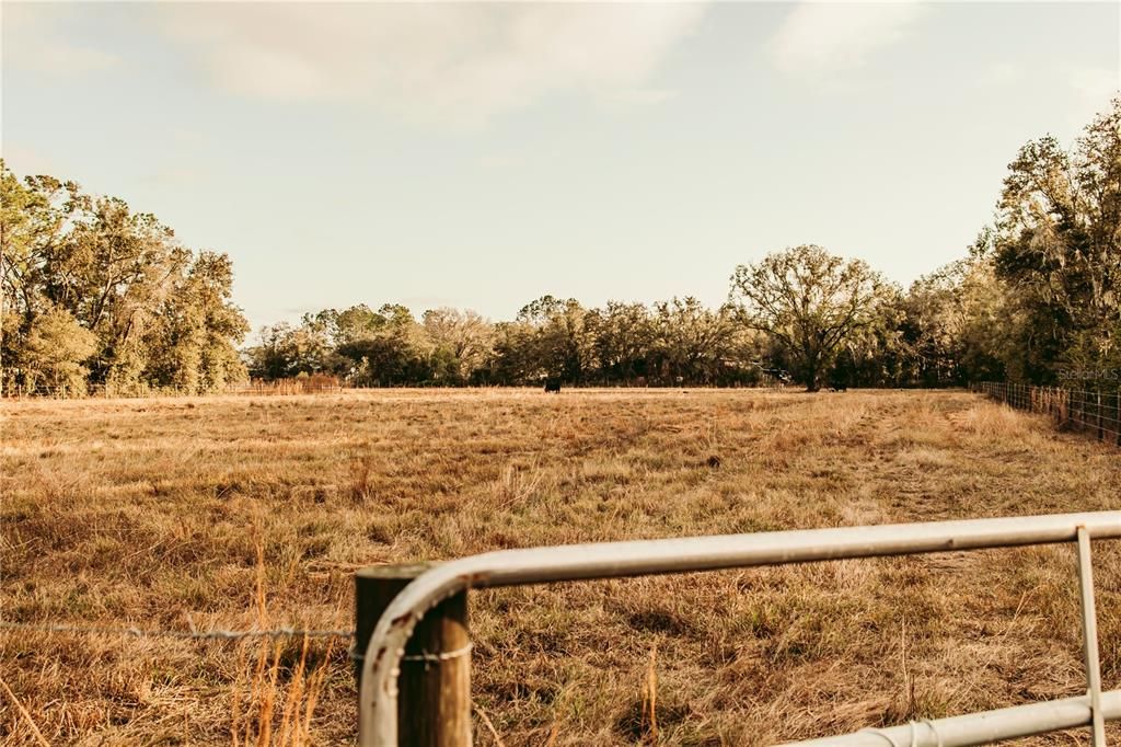 For Sale: $839,900 (31.75 acres)