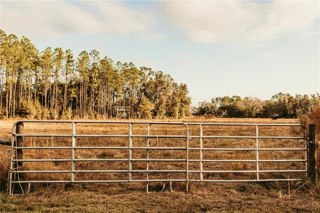 For Sale: $839,900 (31.75 acres)