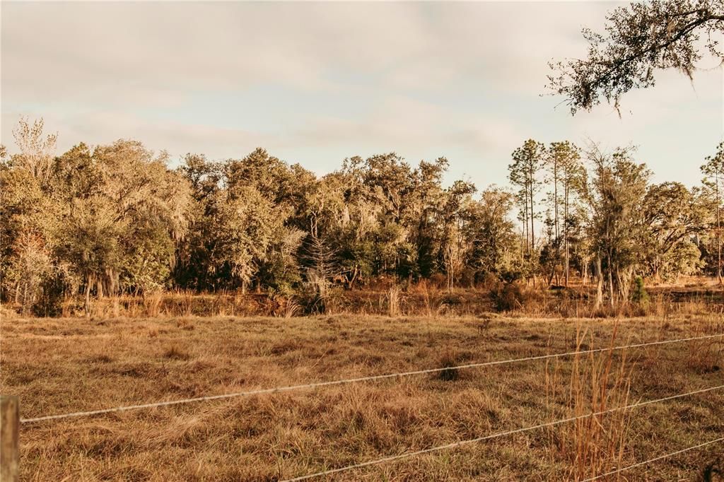 For Sale: $839,900 (31.75 acres)