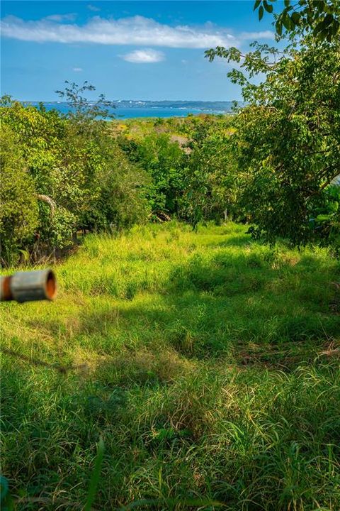 На продажу: $350,000 (0.23 acres)