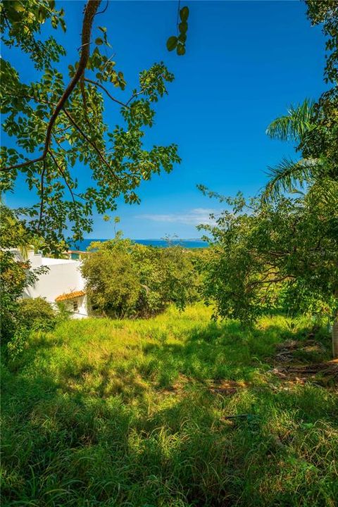 На продажу: $350,000 (0.23 acres)