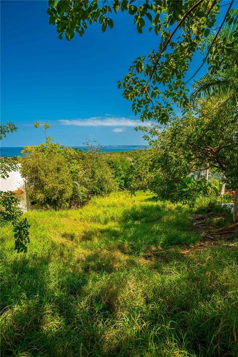 На продажу: $350,000 (0.23 acres)