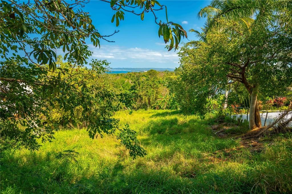 На продажу: $350,000 (0.23 acres)