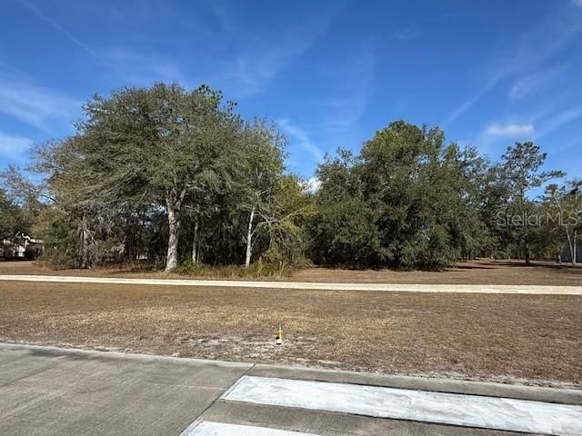 Recently Sold: $100,000 (1.67 acres)