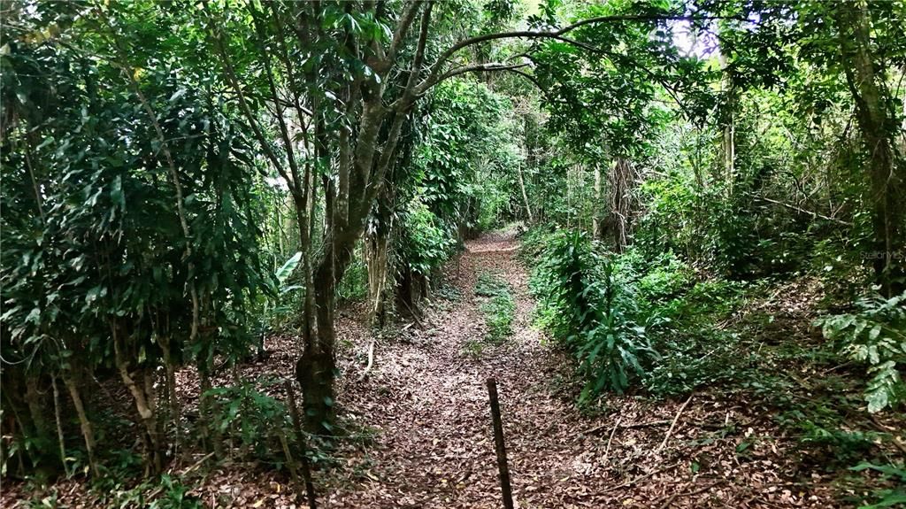 待售: $109,900 (1.35 acres)