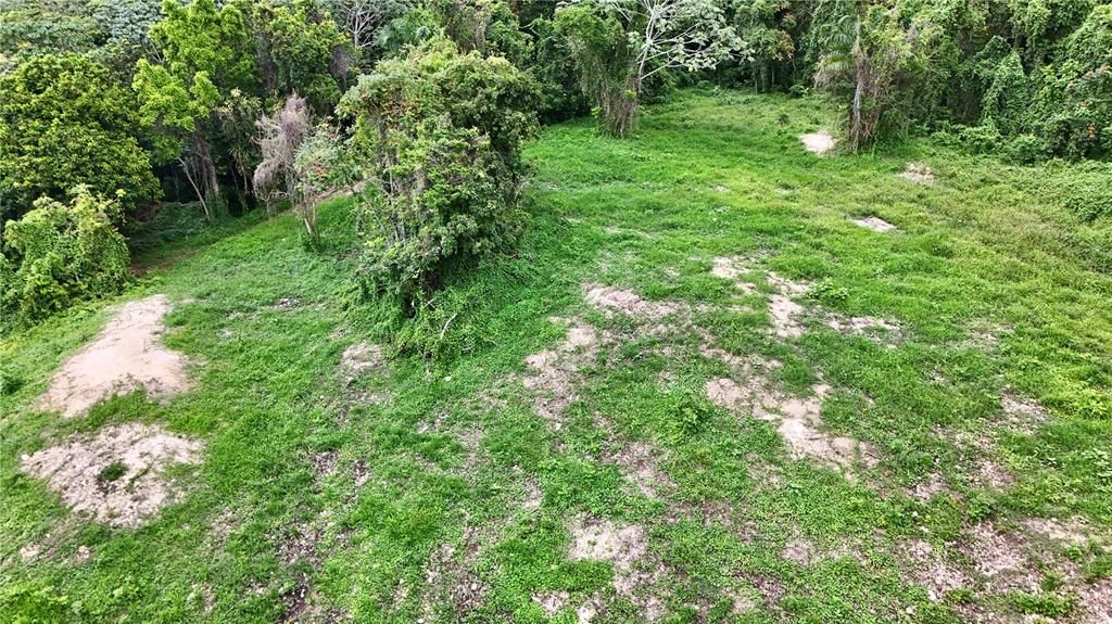 待售: $109,900 (1.35 acres)