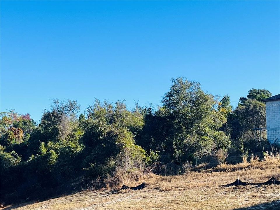 For Sale: $59,000 (0.25 acres)